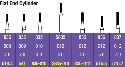 173-514.4C-10pk Spring Health FG #514.4 835.008 Coarse Flat End Cylinder Single-Use Diamonds 10/pk