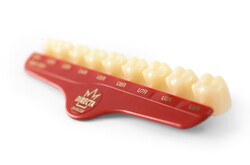 Directa Temporary Crowns Refill, Polycarbonate, #60 (lower incisors - long), Package of 5 crowns.