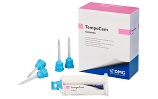 61-110300 Automix Zinc Oxide Eugenol Temporary Cement, refill kit: 1 ?? 25 ml cartridge and 40 automix tips.